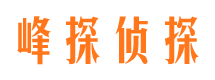 孙吴峰探私家侦探公司